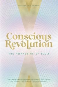 bokomslag Conscious Revolution