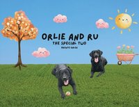 bokomslag Orlie and Ru - The Special Two