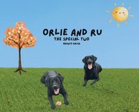 bokomslag Orlie and Ru - The Special Two