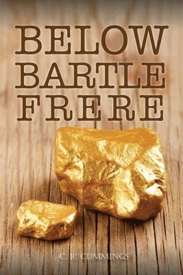 Christopher Cummings - Below Bartle Frere, Häftad