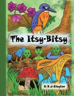 Itsy-Bitsy