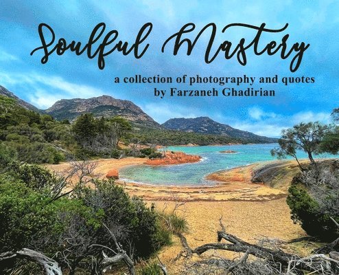 Farzaneh Ghadirian, Ashley Jane, ashley jane - Soulful Mastery, Inbunden