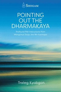 bokomslag Pointing Out the Dharmakaya