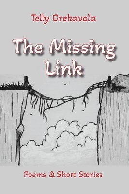 bokomslag The Missing Link