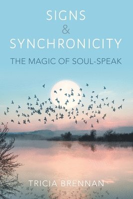 Signs & Synchronicity - The Magic of Soul Speak