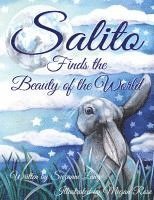 bokomslag Salito Finds the Beauty of the World