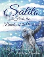 bokomslag Salito Finds the Beauty of the World