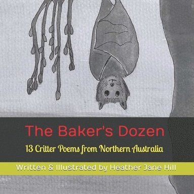 bokomslag The Baker's Dozen