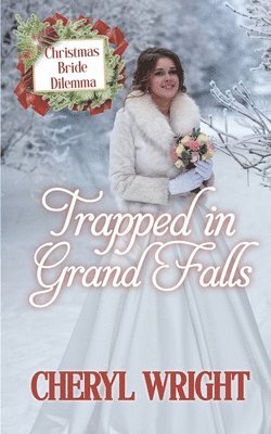 Trapped in Grand Falls 1