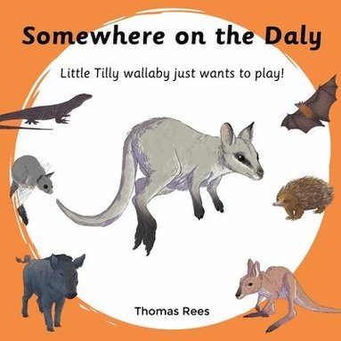 bokomslag Somewhere on the Daly - Little Tilly wallaby just wants to play!