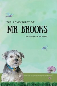 bokomslag Adventures of Mr Brooks