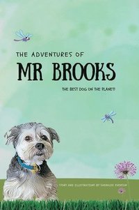 bokomslag The Adventures of Mr Brooks