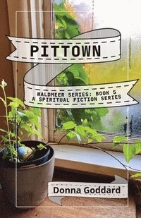 bokomslag Pittown