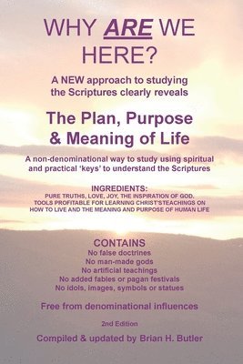 Brian H Butler, Brian H. Butler - Why Are We Here?, Häftad