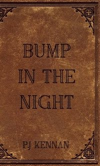 bokomslag Bump in the night