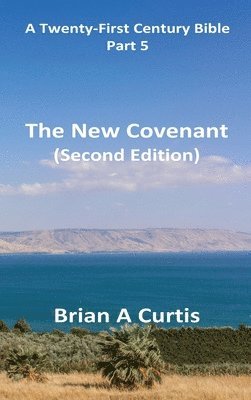 bokomslag The New Covenant