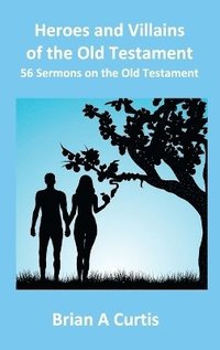 bokomslag Heroes and Villains of the Old Testament