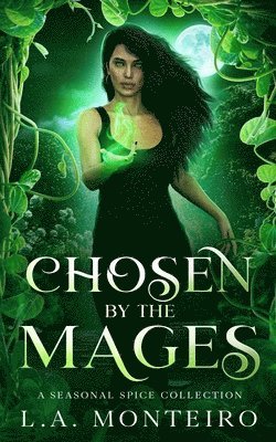 Chosen by the Mages 1