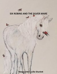 bokomslag Six Robins and the Silver Mare.