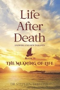 bokomslag Life After Death - Answers and New Insights