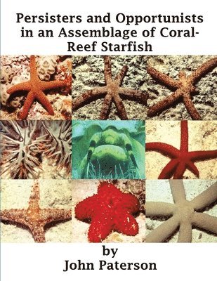 John Paterson - Persisters and Opportunists in an Assemblage of Coral-Reef Starfish, Häftad