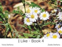 bokomslag I Like - Book 4