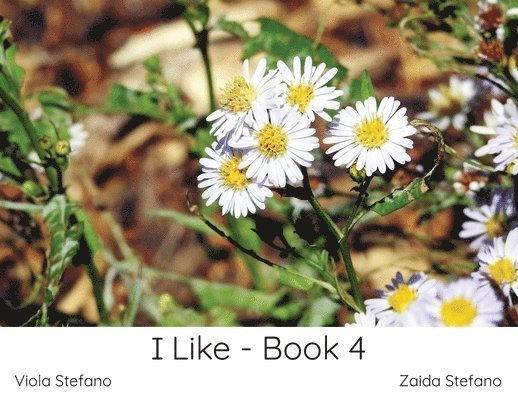 I Like - Book 4 1