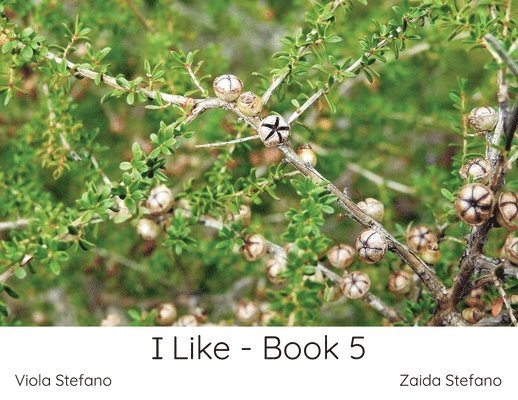 I Like - Book 5 1