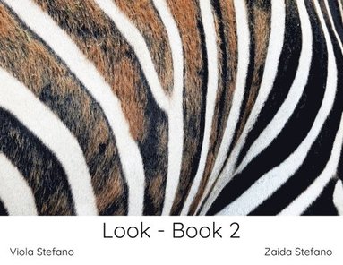 bokomslag Look - Book 2