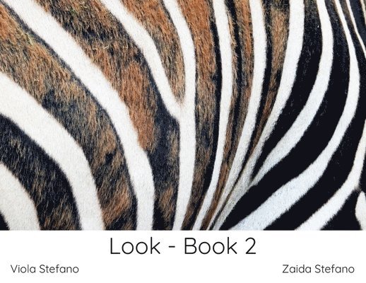 Look - Book 2