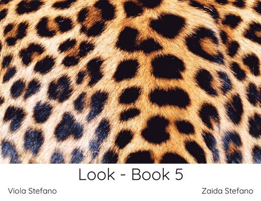 Look - Book 5 1