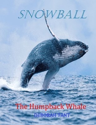 Snowball The Humpback Whale 1