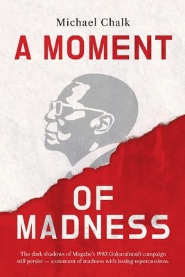 bokomslag Moment of Madness