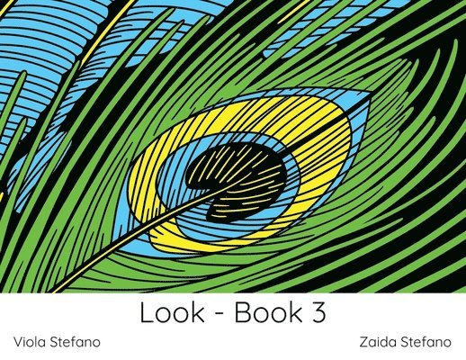 Look - Book 3 1