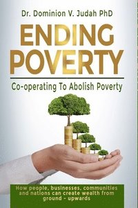 bokomslag Ending Poverty