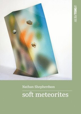 Nathan Shepherdson - soft meteorites, Häftad