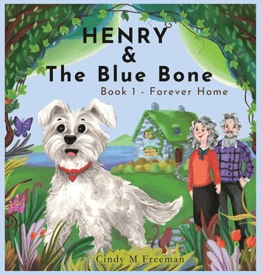 Henry and The Blue Bone 1