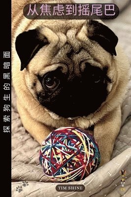 从焦虑到摇尾巴