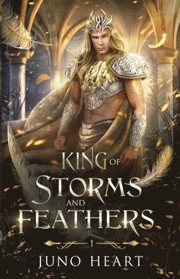 bokomslag King of Storms and Feathers: Special Fae King Edition: A Dark Fae Fantasy Romance