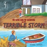 bokomslag Mr Wise and Mr Sandford and the Terrible Storm