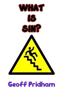 bokomslag What is Sin?