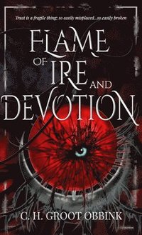 bokomslag Flame of Ire and Devotion