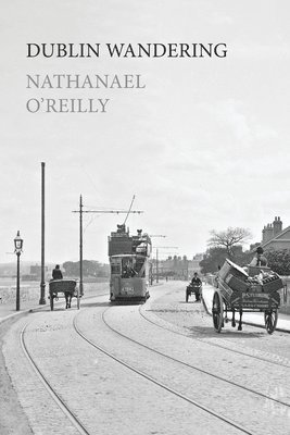 Nathanael O'Reilly - Dublin Wandering, Häftad