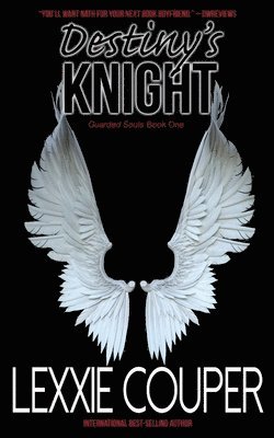 Destiny's Knight 1