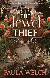 bokomslag Jewel Thief
