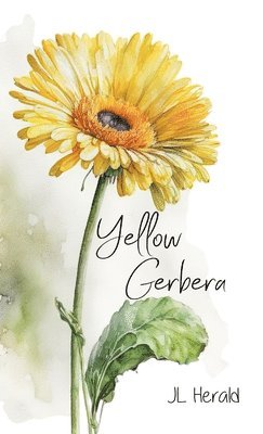 Yellow Gerbera 1