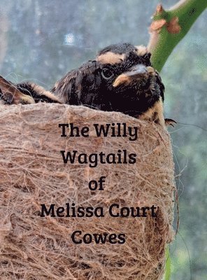 Glenys Gijsbers - Willy Wagtails of Melissa Court Cowes, Inbunden