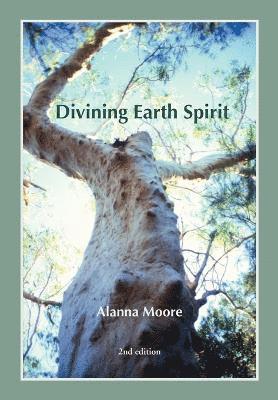 bokomslag Divining Earth Spirit