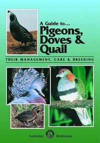 bokomslag Pigeons, Doves and Quail