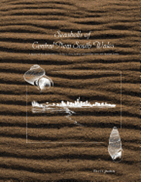 bokomslag Seashells of Central New South Wales: A Survey of the Shelled Marine Molluscs of the Sydney Metropolitan Area and Adjacent Coasts